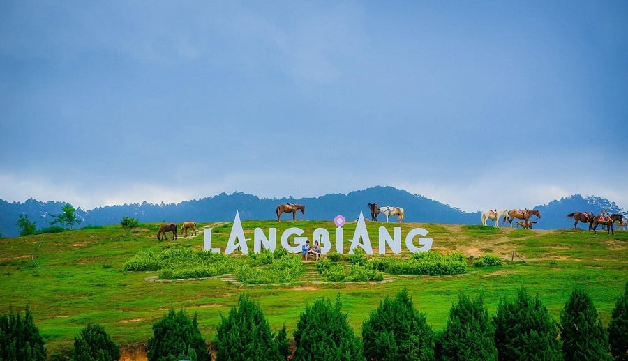 Tour Tây Nguyên – Đảo Lý Sơn 8 Ngày 7 Đêm